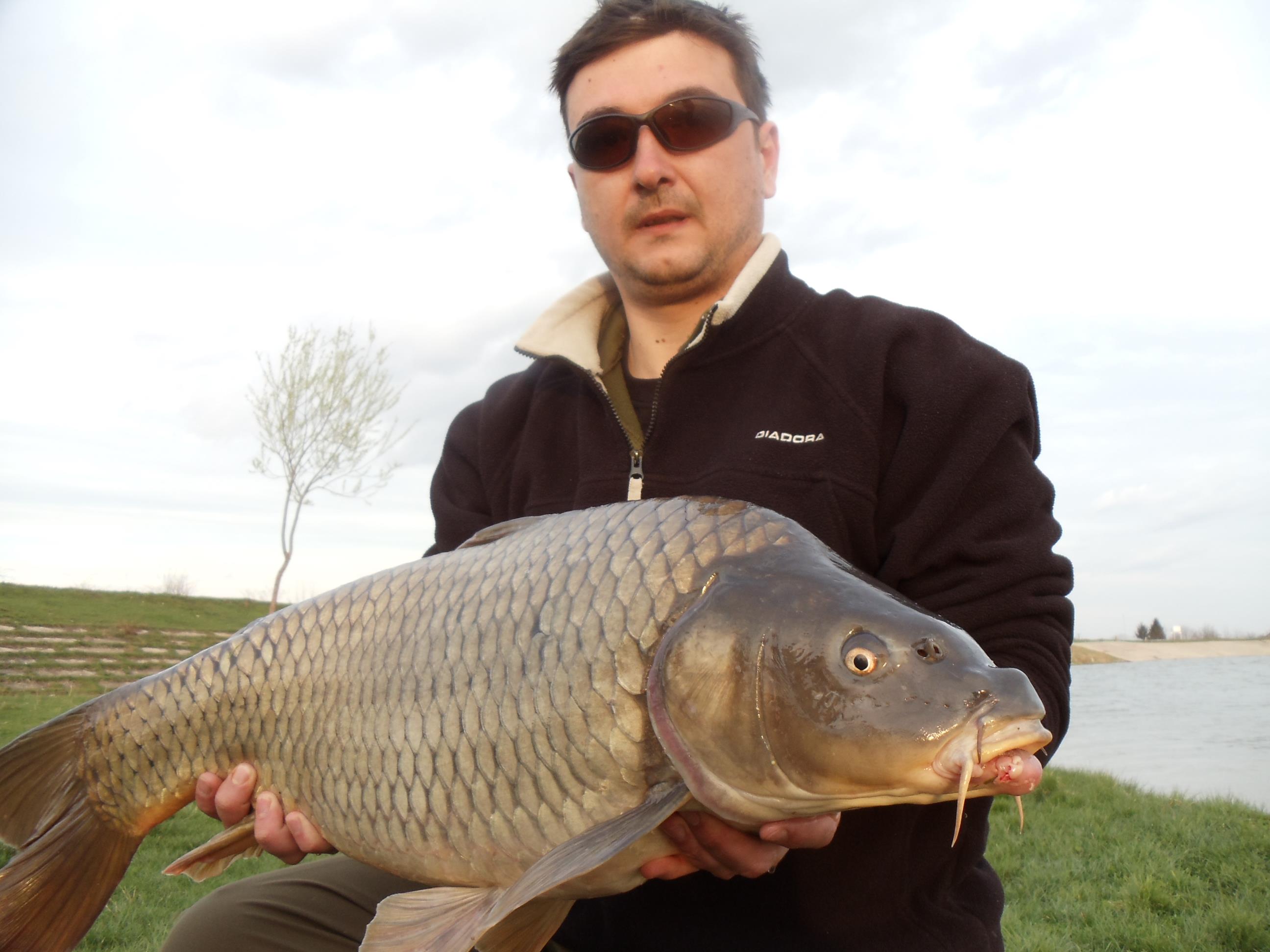 Cupa Primaverii Bunget 2011 - DSC01581.JPG